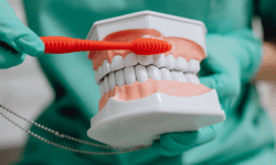 When Bleeding Gums are a Concern in Fayetteville, AR